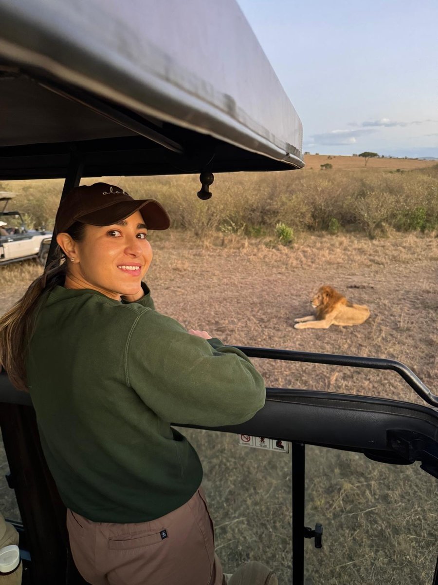 Safari game drive in Africa — lion in the wild, travel adventure